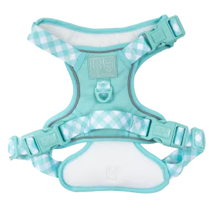 Big & Little Dogs All Rounder Harness - Aqua