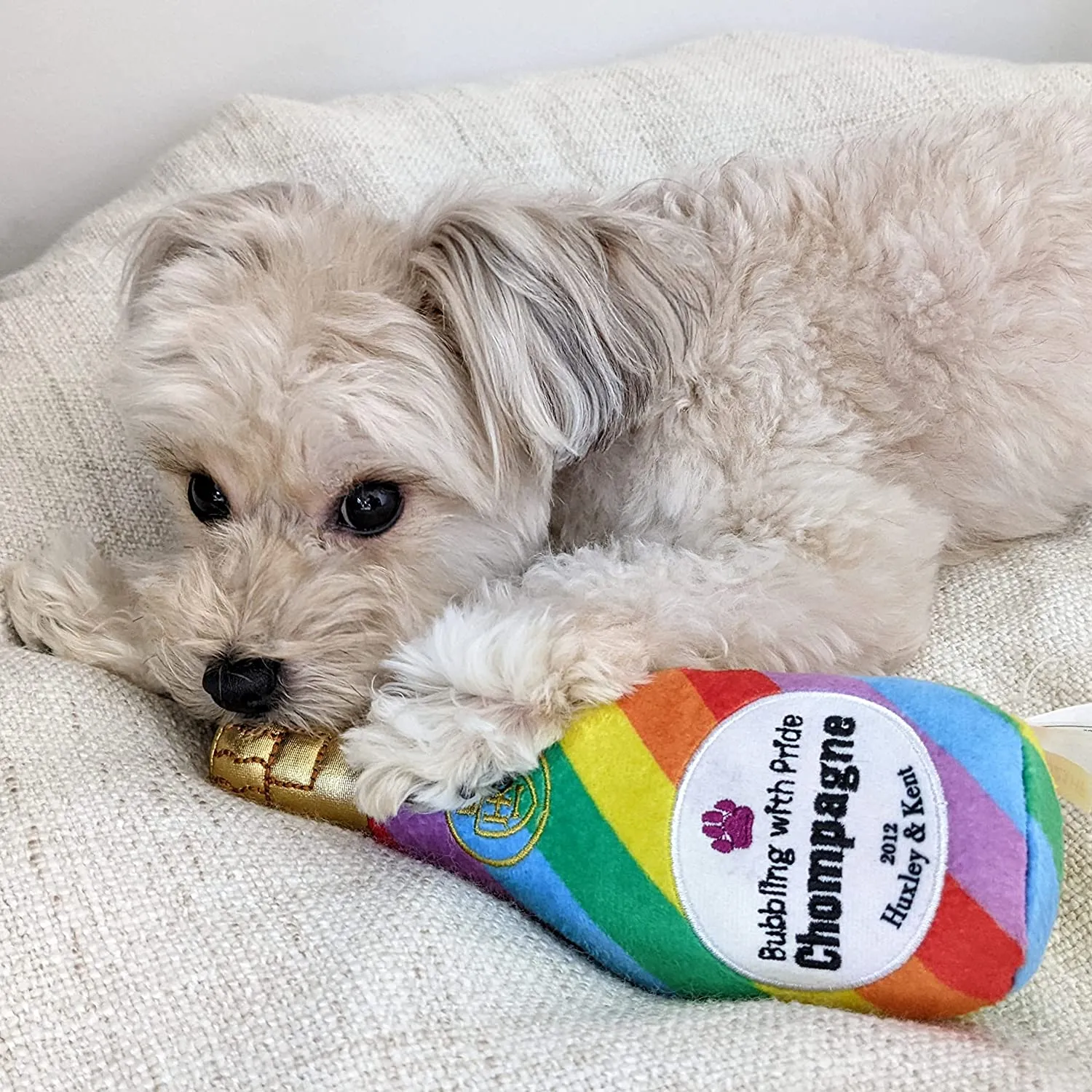 Bubbling with Pride Chompagne Dog Toy