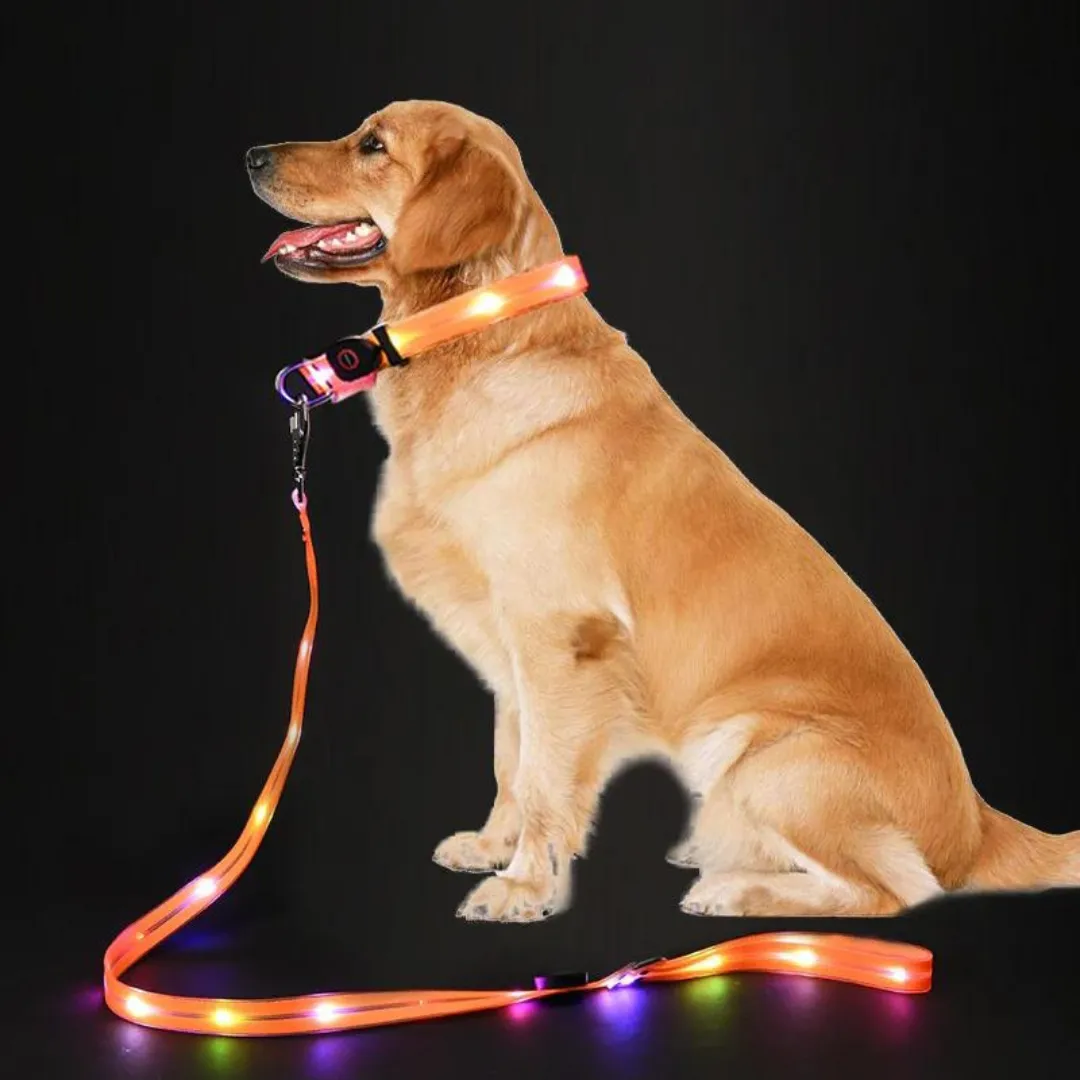 Cheerhunting LED Dog Leash