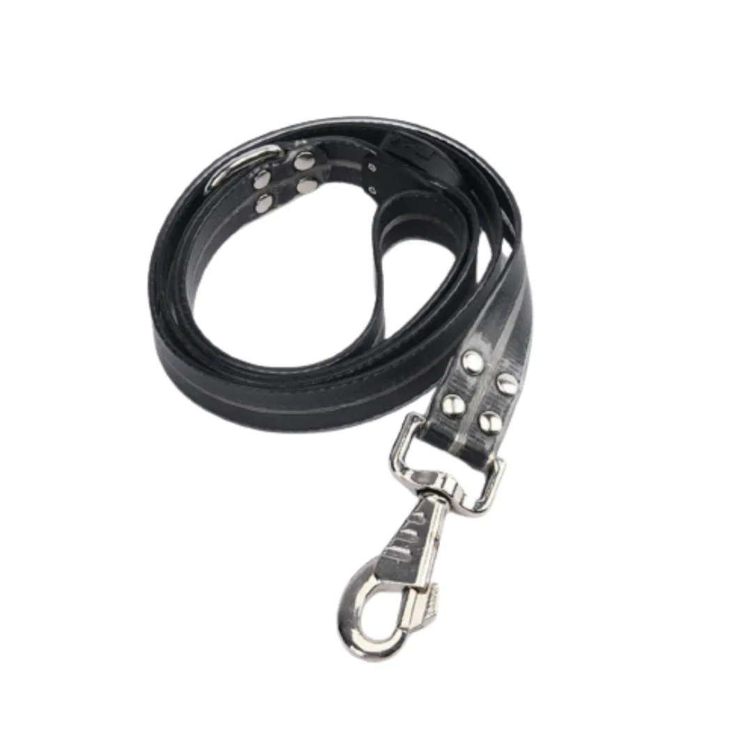 Cheerhunting LED Dog Leash