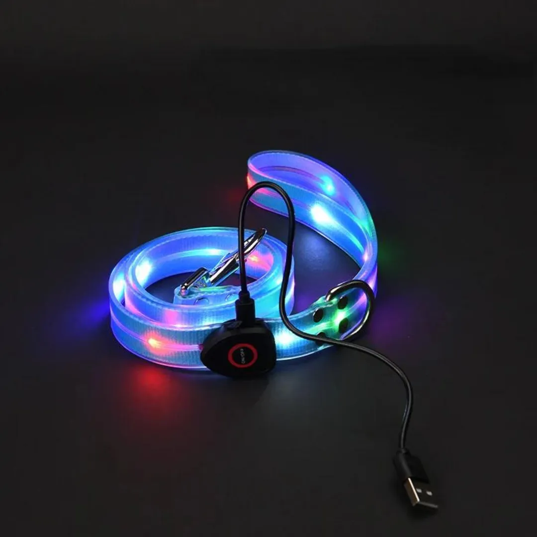 Cheerhunting LED Dog Leash