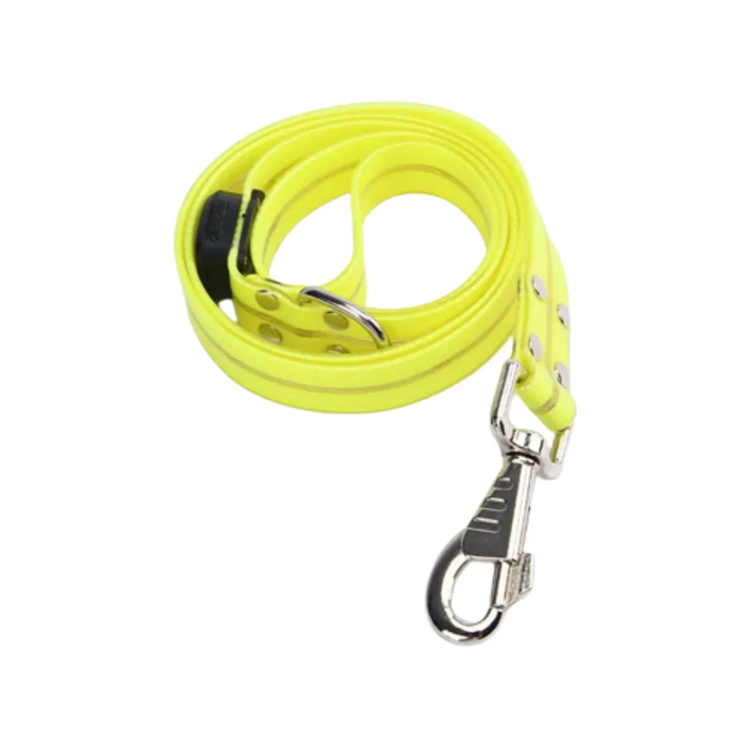 Cheerhunting LED Dog Leash