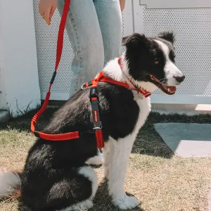 EzyDog Cross Check Training  Harness
