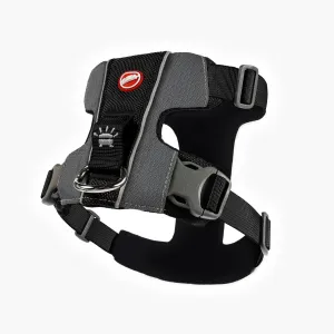 EzyDog X Link Black Dog Harness Extra Large^^^