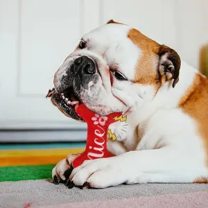 Festive Christmas Squeaky Dog Toys – Durable Plush Chew Toys for Tough Chewers