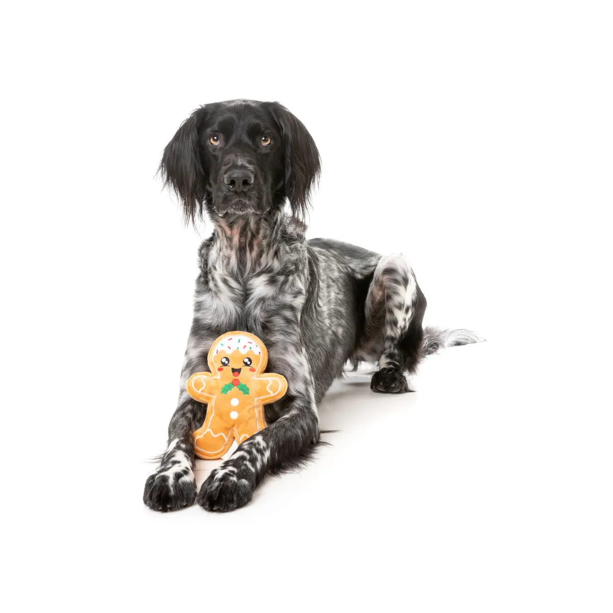 FuzzYard Dog Toy Ginger Bread Fred Plush Large