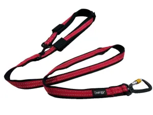 iEnergy CAR - 6 in 1 Dog Leash