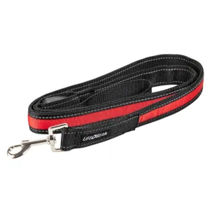 Life Gear 41-3951 USB Rechargeable Glow Dog Leash, 4 Ft