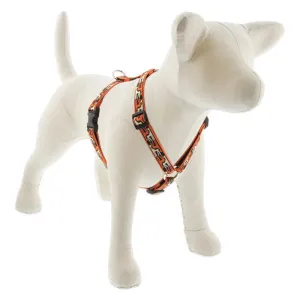 LUPINE MicroBatch Roman Dog Harness 3/4" Wide 20"-32" Girth Size Giraffes