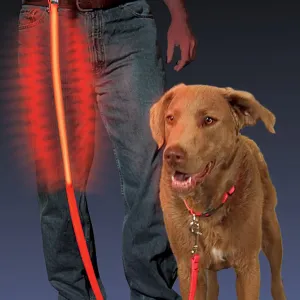 Nite Dawg LED Leash