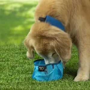 Nite Ize RadDog Collapsible Bowl