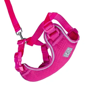 RC Pets Raspberry Adventure Kitty Harness - Available in 3 Sizes