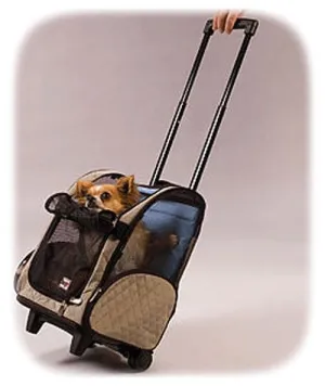 Snoozer Roll Around Carrier