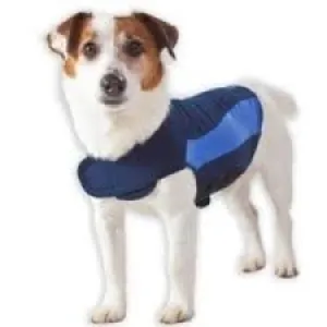 Thunder Shirt - Blue