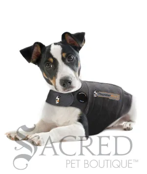 Thundershirt coat