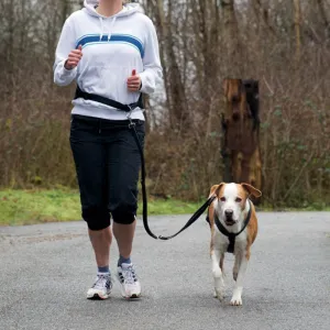 Waist Belt with Lead for Medium-Sized and Large Dogs